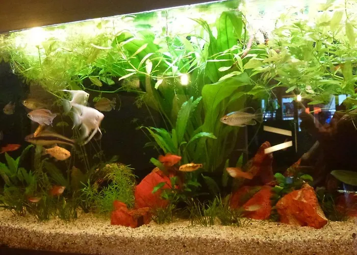 Hotel Bahnhof Interlaken