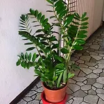 Bahnhof 호텔